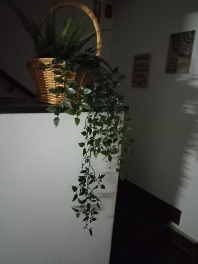 Hostel Vilarade Portimão Kültér fotó